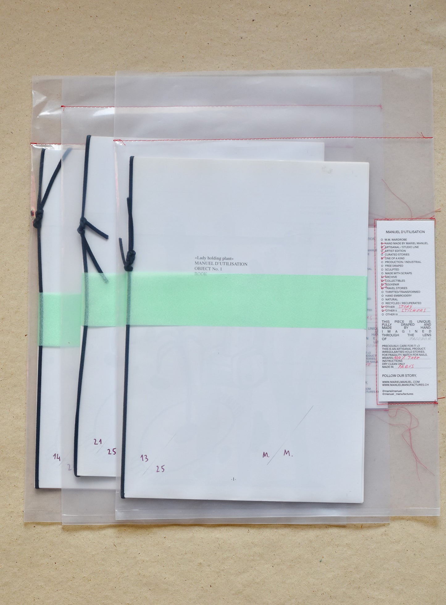 MANUEL D'UTILISATION #1 / Lady Holding Plant