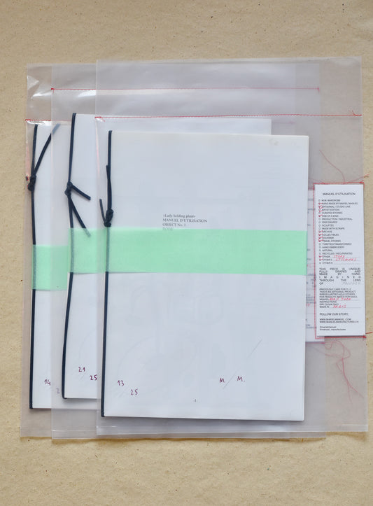 MANUEL D'UTILISATION #1 / Lady Holding Plant