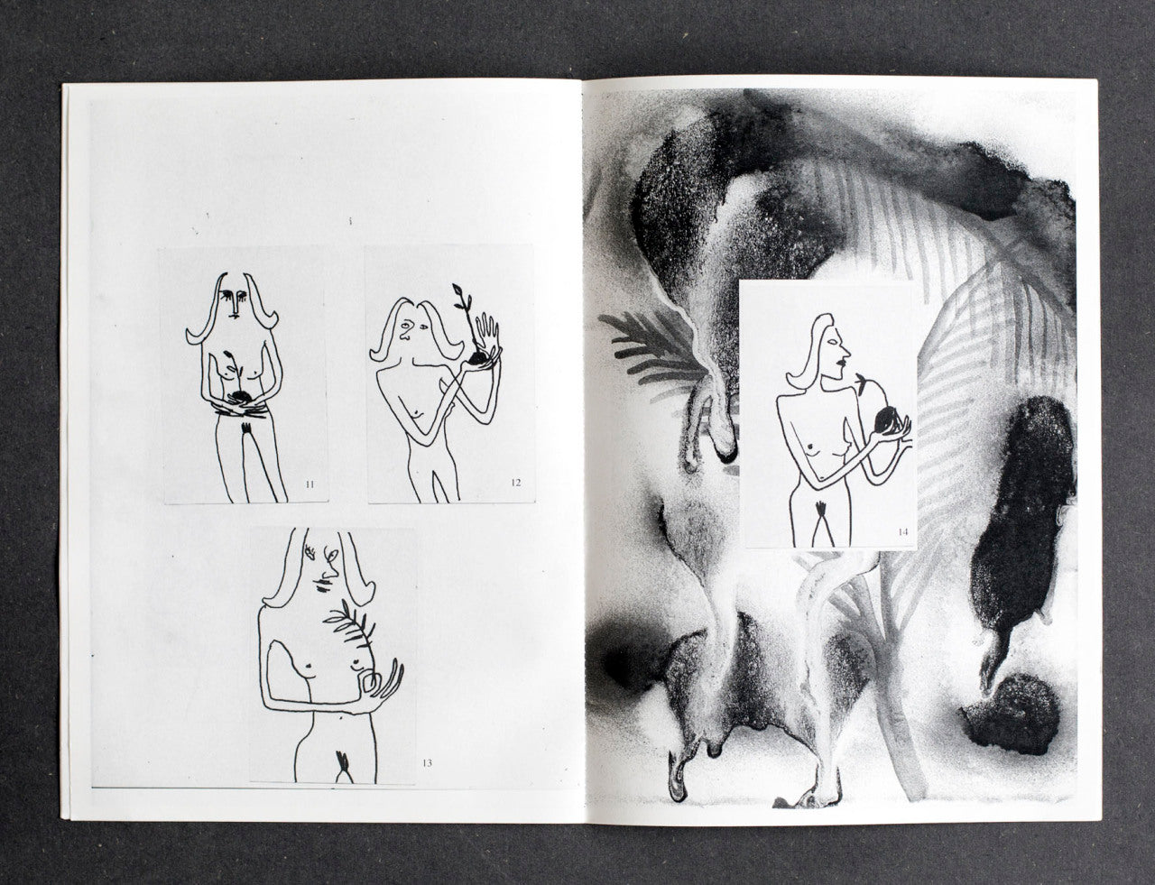 MANUEL D'UTILISATION #1 + / 25 Women Holding Plant + botanical studies