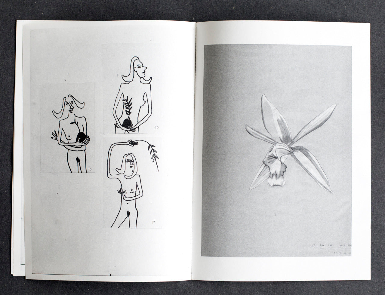 MANUEL D'UTILISATION #1 + / 25 Women Holding Plant + botanical studies